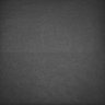Thumbnail for dataset Whole_brain_WT_20170822_03036