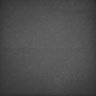 Thumbnail for dataset Whole_brain_WT_20170822_03144