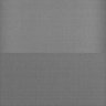 Thumbnail for dataset Whole_brain_WT_20170822_03724