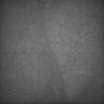 Thumbnail for dataset Whole_brain_WT_20170822_04411