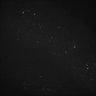 Thumbnail for dataset Whole_brain_WT_20170822_04519