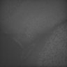 Thumbnail for dataset Whole_brain_WT_20170822_05435