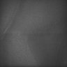 Thumbnail for dataset Whole_brain_WT_20170822_10123