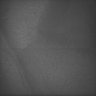 Thumbnail for dataset Whole_brain_WT_20170822_10231