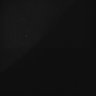 Thumbnail for Whole_brain_WT_20170822_10918