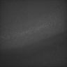 Thumbnail for dataset Whole_brain_WT_20170822_11133
