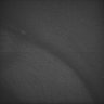 Thumbnail for dataset Whole_brain_WT_20170822_11241