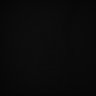 Thumbnail for dataset Whole_brain_WT_20170822_11456