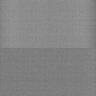 Thumbnail for dataset Whole_brain_WT_20170822_12141