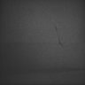 Thumbnail for Whole_brain_WT_20170822_12505