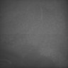 Thumbnail for dataset Whole_brain_WT_20170822_12613