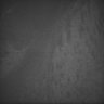 Thumbnail for dataset Whole_brain_WT_20170822_12721