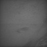 Thumbnail for Whole_brain_WT_20170822_13151
