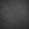 Thumbnail for dataset Whole_brain_WT_20170822_13617