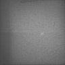 Thumbnail for dataset Whole_brain_WT_20170822_13830