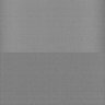 Thumbnail for dataset Whole_brain_WT_20170822_14259