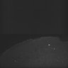 Thumbnail for dataset Whole_brain_WT_20170822_14726