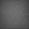 Thumbnail for dataset Whole_brain_WT_20170822_14831