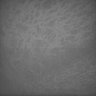 Thumbnail for dataset Whole_brain_WT_20170822_15258