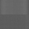 Thumbnail for dataset Whole_brain_WT_20170822_15829