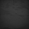 Thumbnail for dataset Whole_brain_WT_20170822_20042