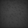 Thumbnail for dataset Whole_brain_WT_20170822_20256