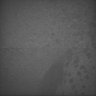 Thumbnail for dataset Whole_brain_WT_20170822_20402