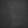 Thumbnail for dataset Whole_brain_WT_20170822_20722
