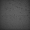 Thumbnail for dataset Whole_brain_WT_20170822_20934