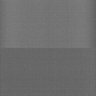 Thumbnail for dataset Whole_brain_WT_20170822_21359