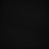 Thumbnail for dataset Whole_brain_WT_20170822_21506