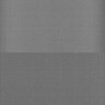 Thumbnail for dataset Whole_brain_WT_20170822_21611