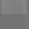 Thumbnail for dataset Whole_brain_WT_20170822_21824