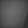 Thumbnail for dataset Whole_brain_WT_20170822_22822