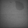 Thumbnail for dataset Whole_brain_WT_20170822_22928