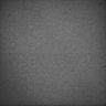 Thumbnail for dataset Whole_brain_WT_20170822_23035