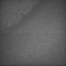 Thumbnail for dataset Whole_brain_WT_20170822_23141
