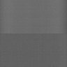 Thumbnail for dataset Whole_brain_WT_20170822_23354