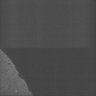 Thumbnail for Whole_brain_WT_20170822_23500