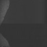 Thumbnail for dataset Whole_brain_WT_20170822_23606