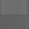 Thumbnail for dataset Whole_brain_WT_20170822_24249