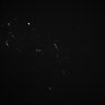 Thumbnail for dataset Whole_brain_WT_20170822_24935