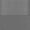 Thumbnail for dataset Whole_brain_WT_20170822_25042