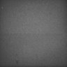 Thumbnail for dataset Whole_brain_WT_20170822_25149