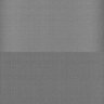 Thumbnail for dataset Whole_brain_WT_20170822_25401