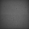 Thumbnail for dataset Whole_brain_WT_20170822_30041