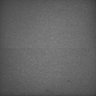 Thumbnail for dataset Whole_brain_WT_20170822_30253