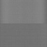 Thumbnail for dataset Whole_brain_WT_20170822_30614