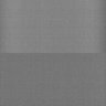 Thumbnail for dataset Whole_brain_WT_20170822_31143