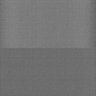 Thumbnail for dataset Whole_brain_WT_20170822_31355